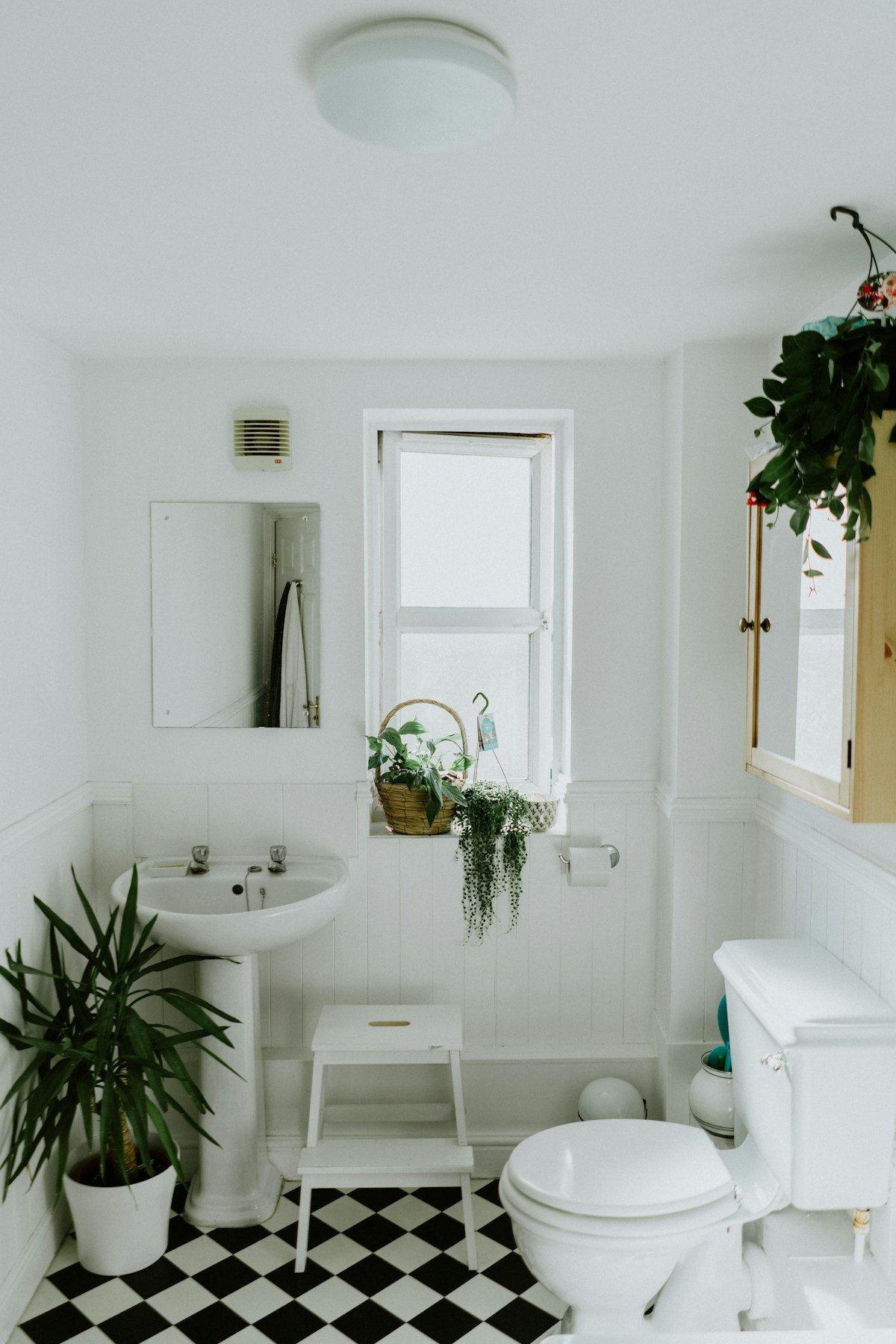 Hard water stains shower glass